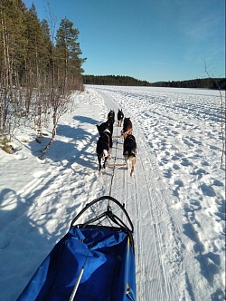 Sleddogtour